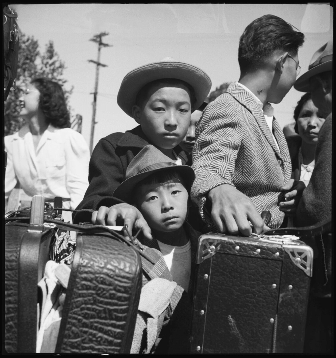 Большинство этнических японцев в США проживало в Калифорнии. Отношение к ним в этом штате и до начала Второй мировой войны было предвзятым. С начала ХХ века в штате действовали законы, ограничивавшие в правах граждан японского происхождения. Например, они должны были учиться в специальных школах. Так же были запрещены смешанные браки. 