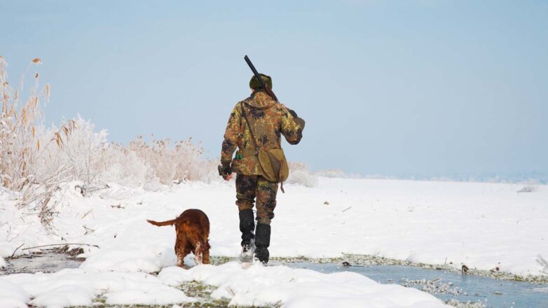 Зверские правила: Минприроды и Госдума готовят поправки в закон «Об охоте»