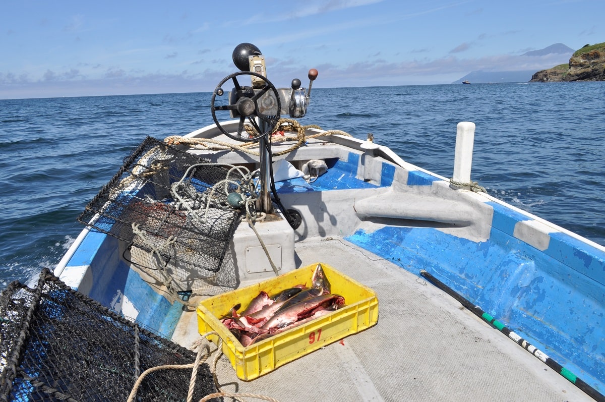Отправляясь на рыбалку, на Курилах очень сложно остаться без улова. Итуруп, Охотское море.