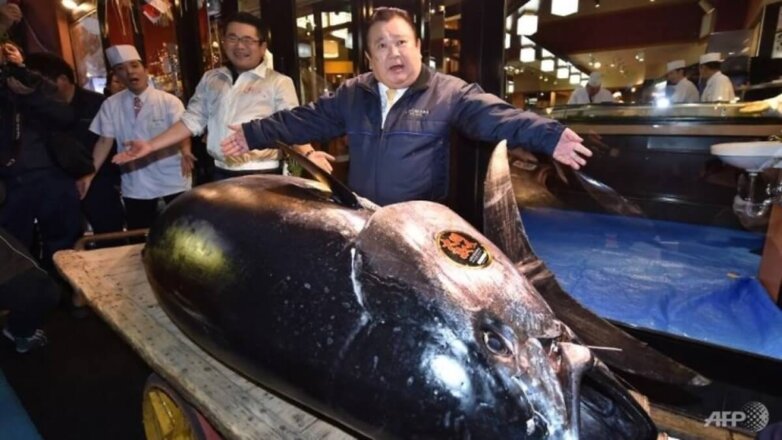 Тунец-великан поставил рекорд в Токио