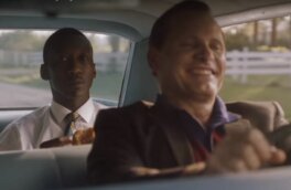 Пиратские копии фильма «Зеленая книга» удалены с 327 сайтов