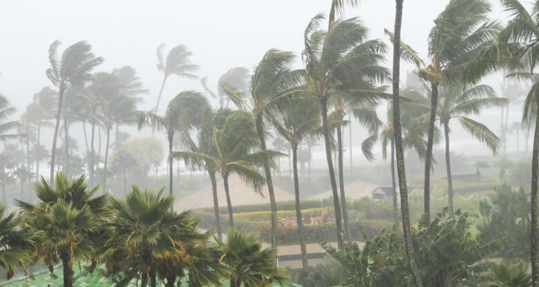 В туристические провинции Тайланда пришел ураган