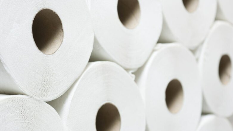 В Германии призвали отказаться от туалетной бумаги