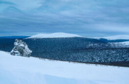 Шведские ученые побывали на перевале Дятлова и сделали выводы о причинах трагедии