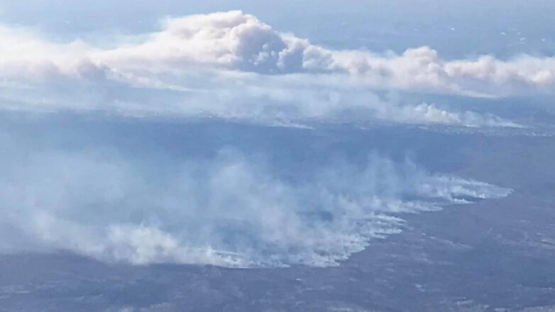 Хабаровск окутало дымом из-за аномально ранних лесных пожаров