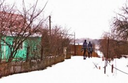 Кавалеристы во Владимире поймали наркоторговцев с поличным