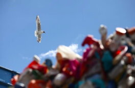 Вывоз мусора обойдется россиянам в 180 млрд рублей в год