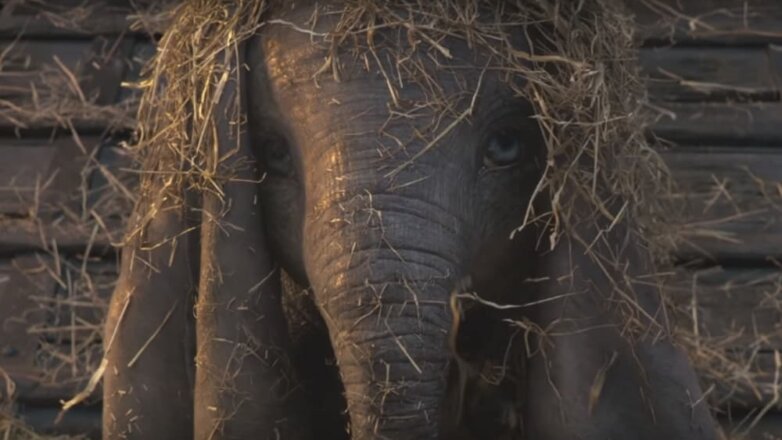 Трейлер фильма Бертона «Дамбо» про летающего слоненка появился в сети