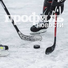 В КХЛ установили новый рекорд по заброшенным шайбам за одну регулярку