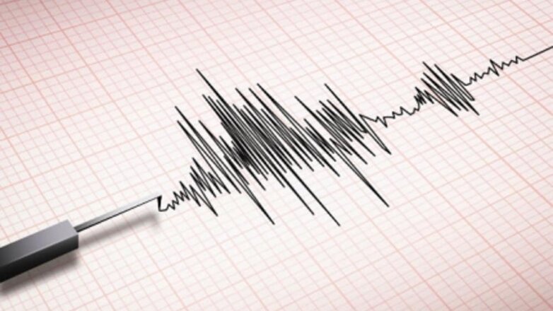 Землетрясение магнитудой 5,6 произошло у южных Курил