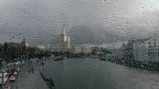 Дождливый и теплый вторник ожидает жителей Москвы и Подмосковья