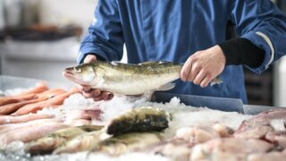 Осенью 2019 года в России может возникнуть дефицит рыбы