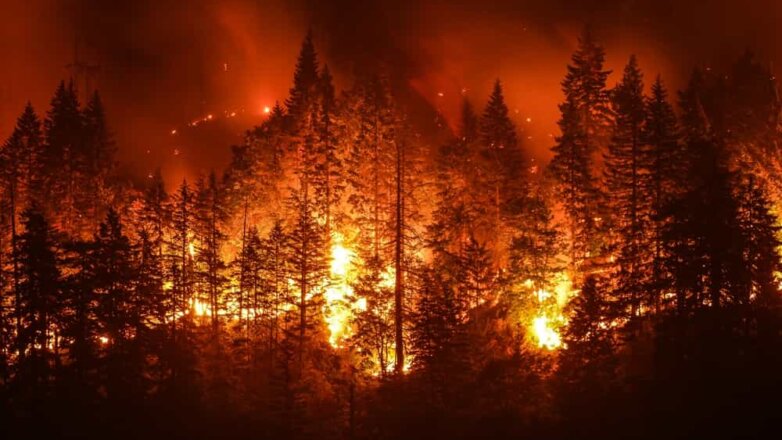 23 человека пострадали в результате природных пожаров в Забайкалье. Погибших нет