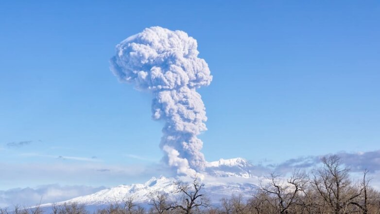 Камчатский вулкан Шивелуч второй раз в марте выбросил столб пепла высотой в 5 км