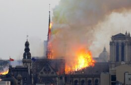 Пожар в соборе Парижской Богоматери ликвидирован