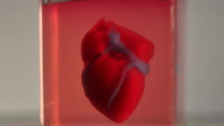 Напечатанное на 3D-принтере сердце