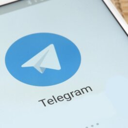В Госдуме рекомендовали россиянам пользоваться Telegram