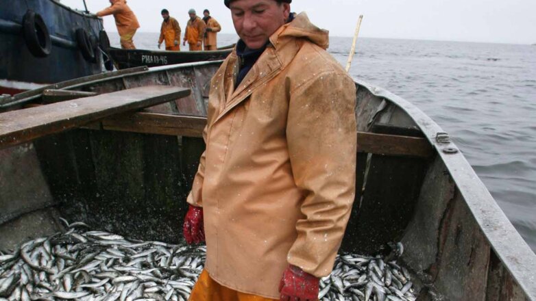 Что мешает государству навести порядок в рыболовецкой отрасли?
