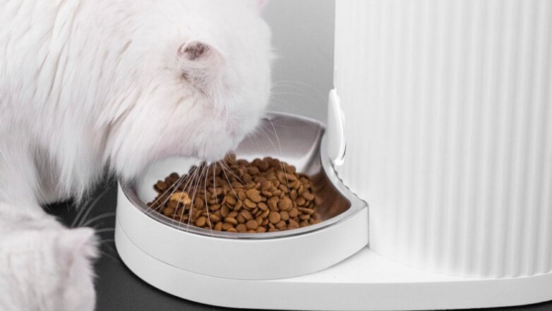 Xiaomi создала «умную миску», которая сама кормит кошек