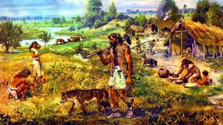 Новая культура эпохи неолита была открыта новосибирскими археологами