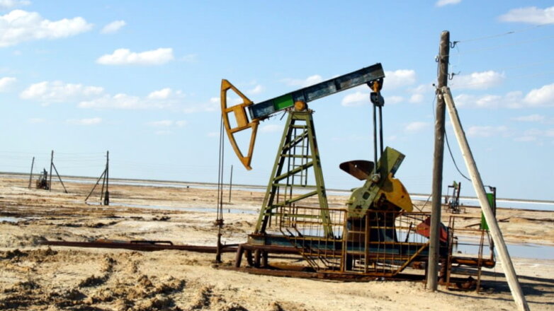 Казахстан нарастил добычу нефти в 2020 году