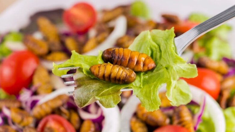 Эксперты напомнили россиянам о возможности употреблять в пищу насекомых