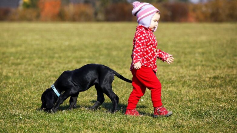Главный кинолог РФ не советует родителям дарить маленьким детям собаку