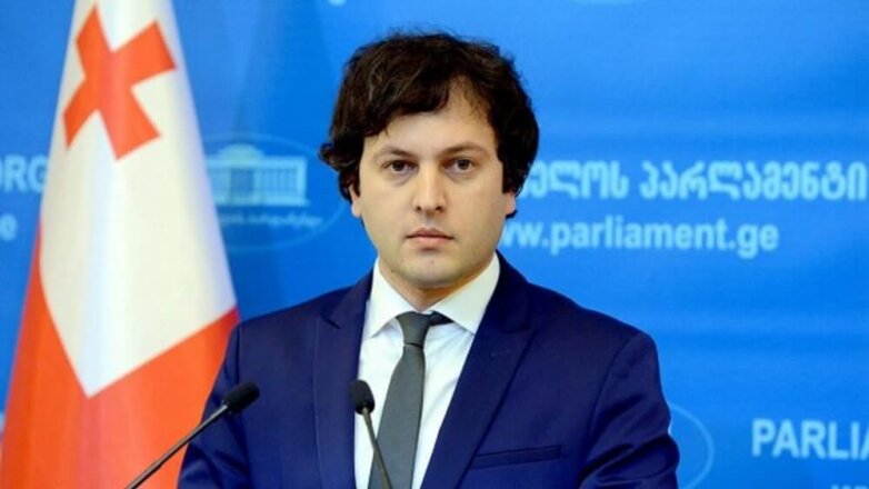 Спикер парламента Грузии принял решение об отставке