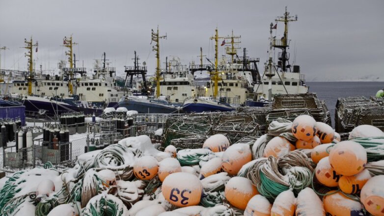 Как государство будет возрождать рыболовецкий флот