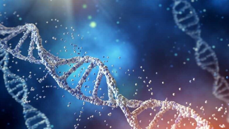 В Приморье начали ставить диагнозы по ДНК