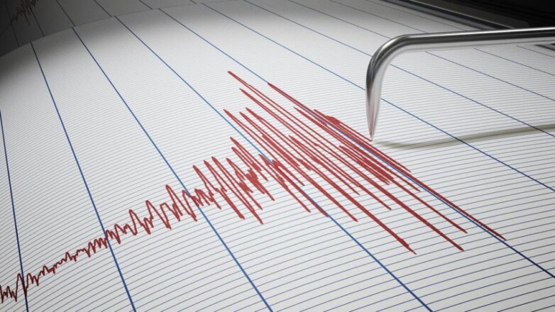 Возле Петропавловска-Камчатского произошло землетрясение магнитудой 4,4