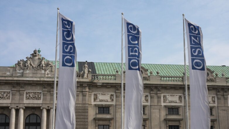 В ОБСЕ призвали Россию отменить признание Абхазии и Южной Осетии