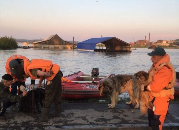 Людей и животных эвакуируют с крыш затопленных домов в Иркутской области