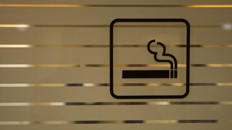 Госдума сняла запрет на курение в российских аэропортах