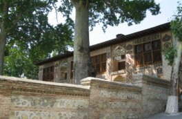 Двое россиян пострадали при падении ветки 500-летнего дерева в Азербайджане