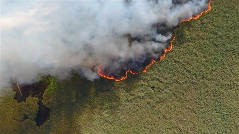 Дым от лесных пожаров в Сибири достигает Поволжья