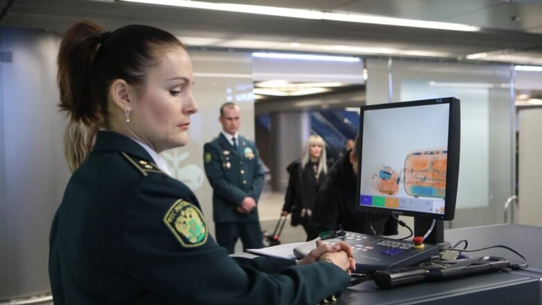 В России вступили в силу новые нормы провоза багажа через границу