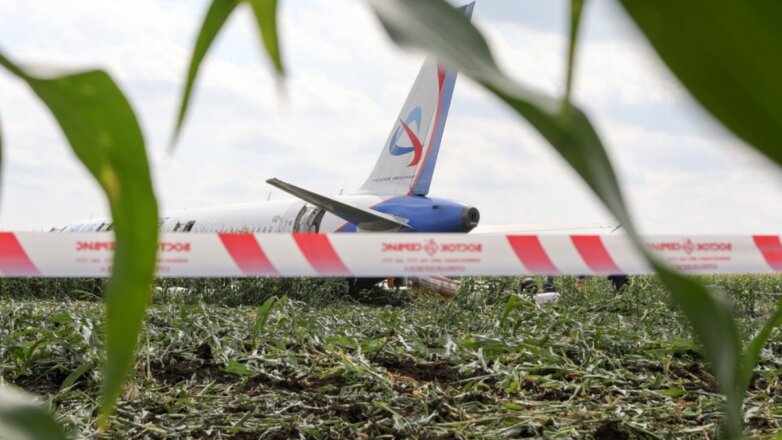 Число пострадавших при посадке A321 в поле выросло до 74