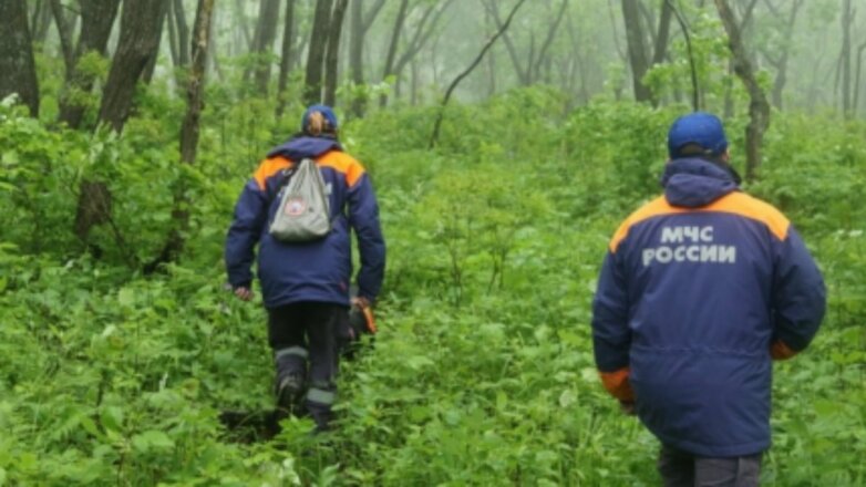 В Красноярском крае нашли в тайге пропавшего ребёнка