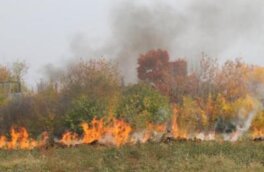 Лесной пожар разбушевался на болгарском курорте