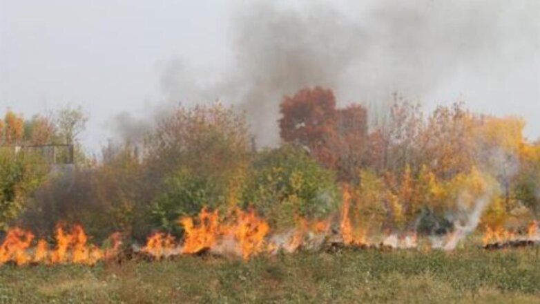 Лесной пожар разбушевался на болгарском курорте