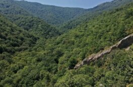 В Крыму туристка со сломанной ногой сутки провела в ущелье