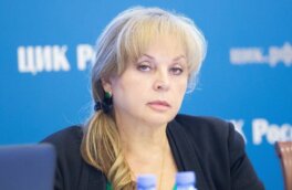 Напавший на дом Памфиловой рассказал детали происшествия