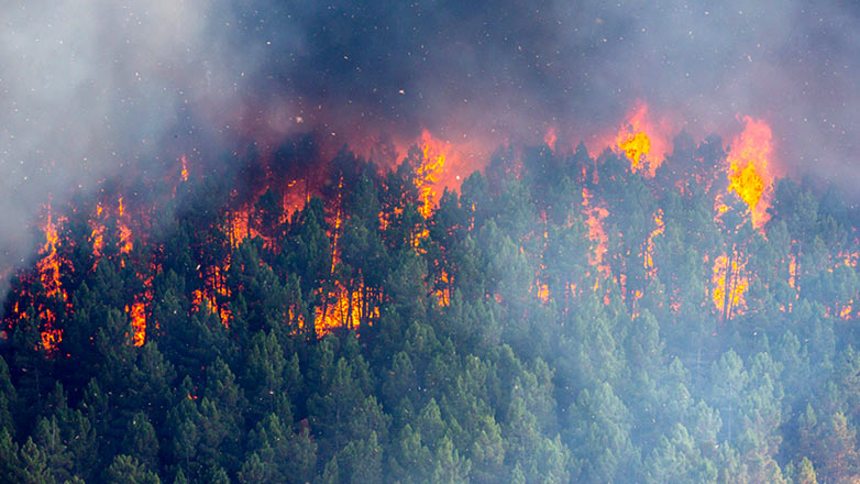 В Якутии введён режим ЧС из-за лесных пожаров