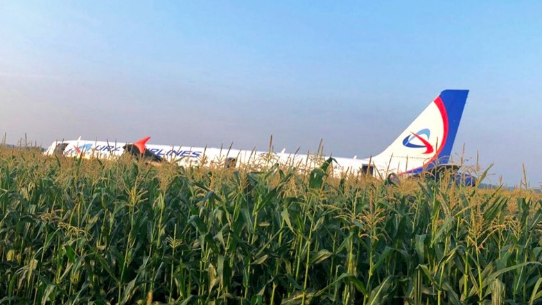 Пилотов Airbus A321 предупреждали о птицах над летным полем