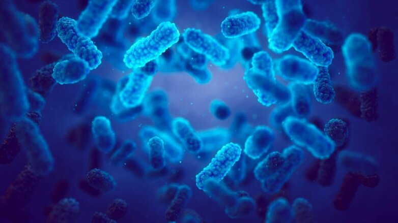 Обнаружены бактерии, отрицающие правила эволюции