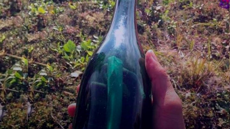 На Аляске нашли бутылку с посланием из Владивостока