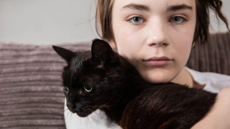 Кот, изменивший жизнь ребенка, назван «Котом года» в Британии