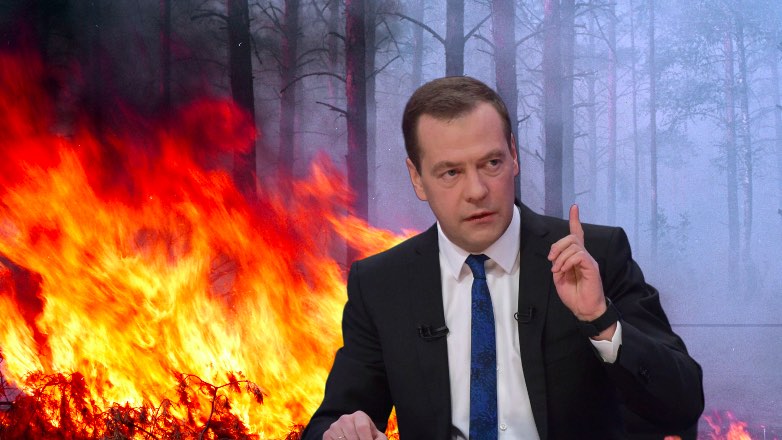Премьер поручил проверить версию о намеренных поджогах лесов в Сибири