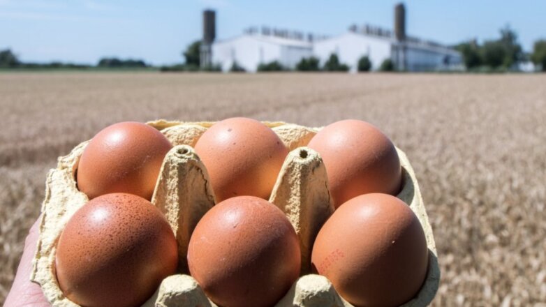 Воронежская птицефабрика готова увеличить выпуск яиц к концу 2024 года
